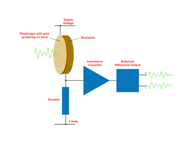 mic-diaphragm-3