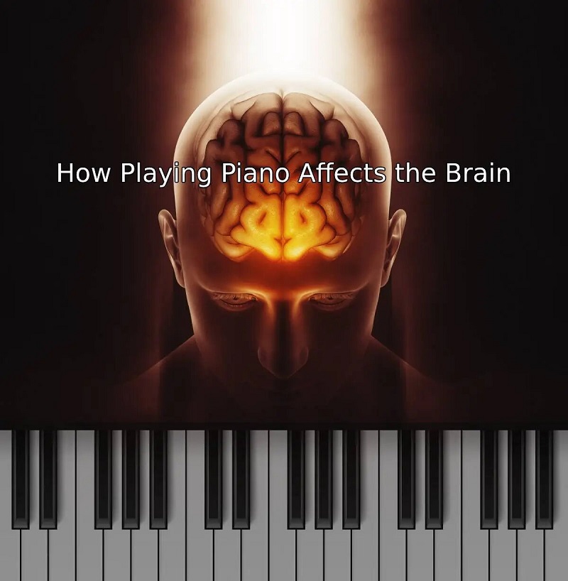 تاثیرگذاری نواختن پیانو بر روی مغز