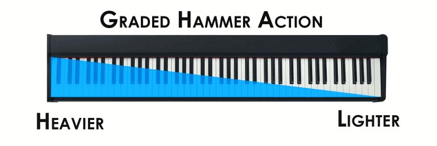 اکشن Graded Hammer Standard (GHS)