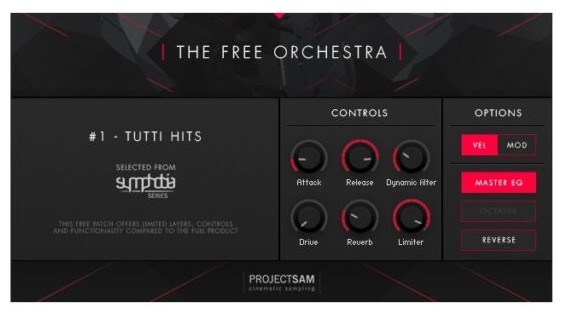 The-Free-Orchestra-Project-Sam