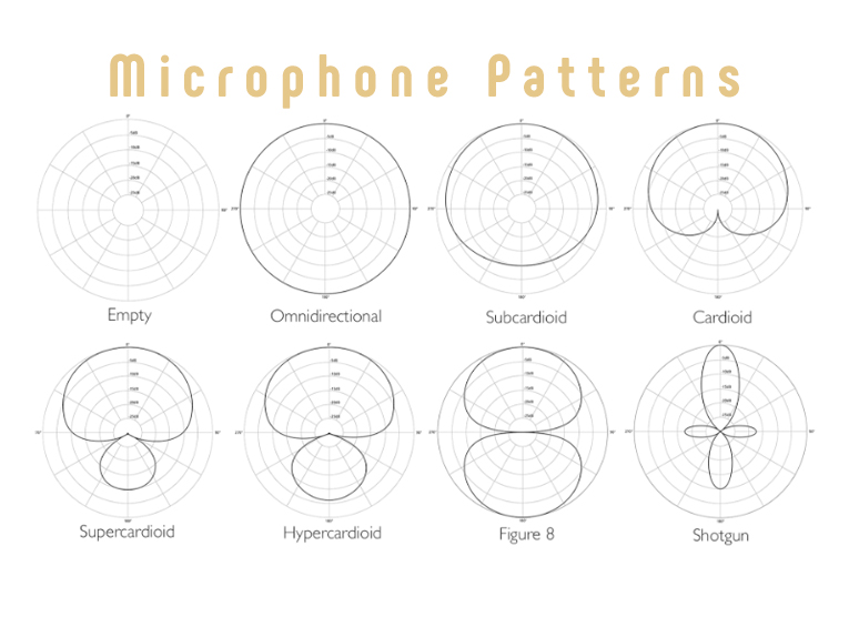 الگوی میکروفون (Microphone Pattern)