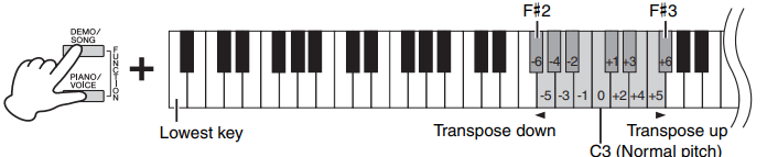 برگرداندن حالت Transpose به شکل اولیه