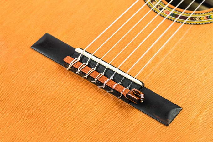 بریج یا پل گیتار (آشنایی با نت روی خطوط حامل و ساز)