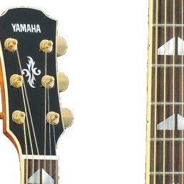 گیتار آکوستیک YAMAHA APX1000 Natural