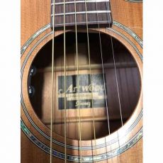 IBANEZ AW 3050 CE | گیتار آکوستیک