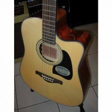 گیتار آکوستیک IBANEZ AW3000 NT