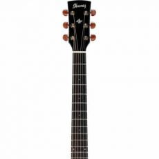 گیتار آکوستیک IBANEZ AW3000 NT