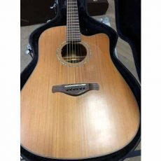 IBANEZ AW 3050 CE | گیتار آکوستیک