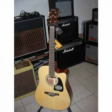 گیتار آکوستیک IBANEZ AW3000 NT