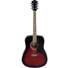 گیتار آکوستیک IBANEZ SGT120 E-HS-VBS