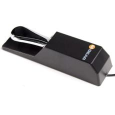 M-Audio SP-2 Sustain Pedal | پدال ساستین ام-آدیو