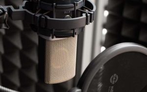 Large Diaphragm Condenser Microphone-سی214