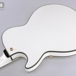 گیتار الکتریک Ibanez AGR73 T