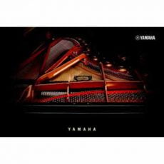 Yamaha C6X PE | پیانو گرند یاماها