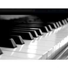 Yamaha U1 PM | پیانو آکوستیک