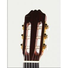 ARIA AC70 F | گیتار فلامینکو