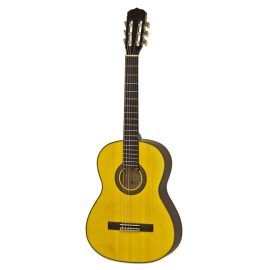 خرید گیتار کلاسیک آریا مدل ای کی - 25 ان