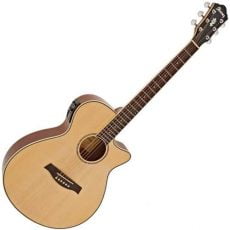 Ibanez AEG10II NT | گیتار آکوستیک