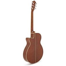 Ibanez AEG10II NT | گیتار آکوستیک