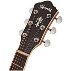 Ibanez AEG10II NT | گیتار آکوستیک