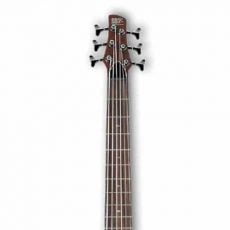 IBANEZ SR-506 BM | گیتار بیس آیبانز