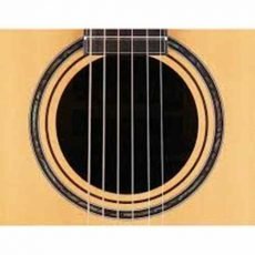 IBANEZ AW3010 LG | گیتار آکوستیک آیبانز