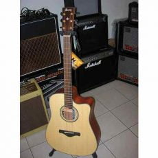 IBANEZ AW3010 LG | گیتار آکوستیک آیبانز