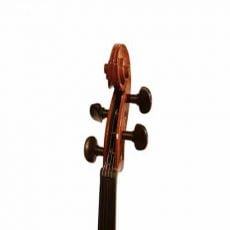 Mavis 1413 Violin | ویولن ماویز