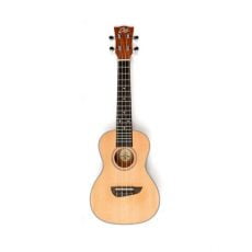 یوکللی EKO EVO Ukulele Concert Cedar