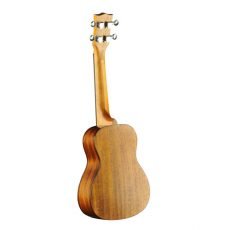 یوکللی EKO EVO Ukulele Concert Cedar