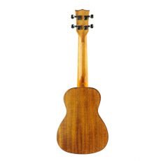 یوکللی EKO EVO Ukulele Concert Cedar