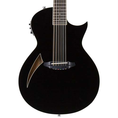 esp 12 string electric