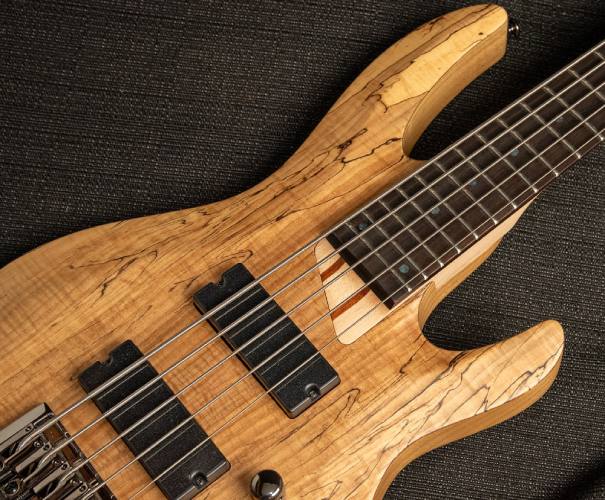 ltd-b-205-spalted-maple-گیتار-بیس-سازکالا