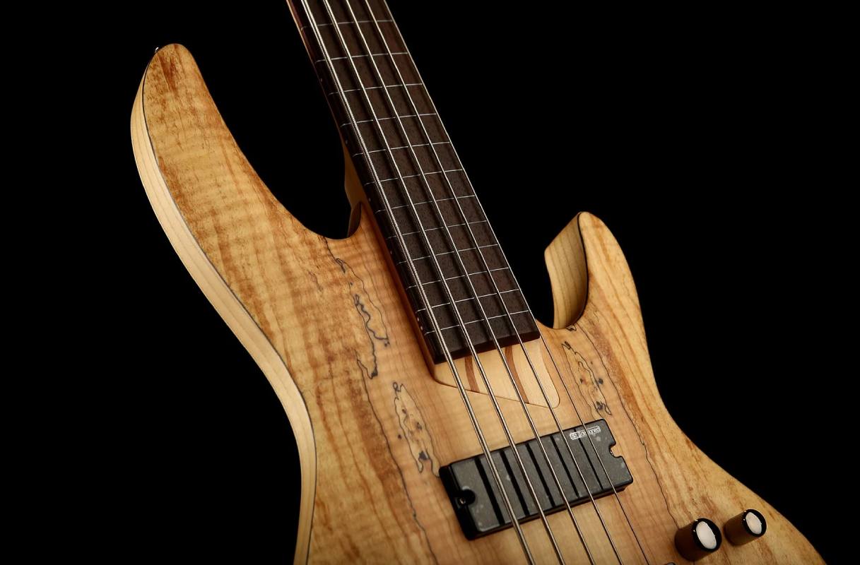 ltd-b-205-spalted-maple-گیتار-بیس-خرید