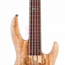 LTD B-205 Spalted Maple | گیتار بیس