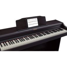 Roland RP 501