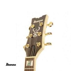 گیتار آیبانز IBANEZ AR220 IV