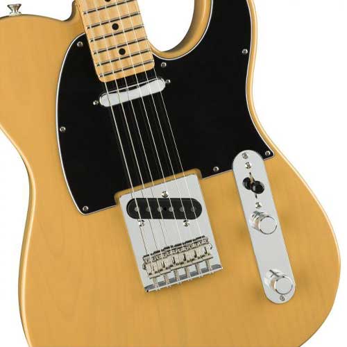 fender player telecaster butterscotch blonde