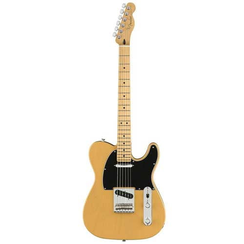 fender player butterscotch