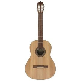 قیمت گیتار کلاسیک MALAGA M1