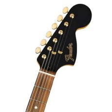 Fender Limited Mahogany Blacktop Strat