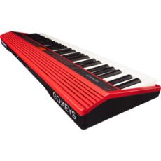 Roland GO:KEYS 61-key Music Creation Keyboard