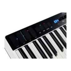 میدی کیبورد IK Multimedia iRig Keys I/O 49