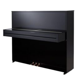 قیمت-پیانو-آکوستیک-Petrof-P-118 S1
