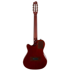 Godin Multiac Nylon Duet Ambiance HG