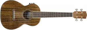 fender-fender-rincon-tenor-ukulele-ovangkol-fingerboard-natural-wbag__30561