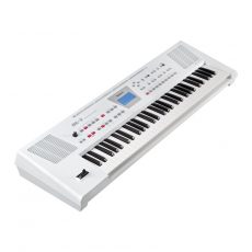 Roland BK-3