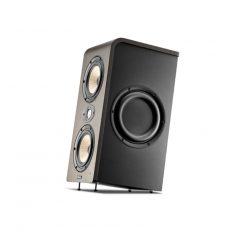 Focal Shape Twin