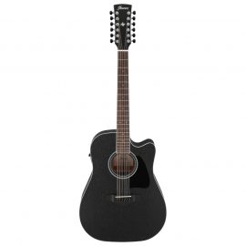 IBANEZ AW8412CE 12 STRING قیمت