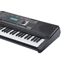 Kurzweil KP100